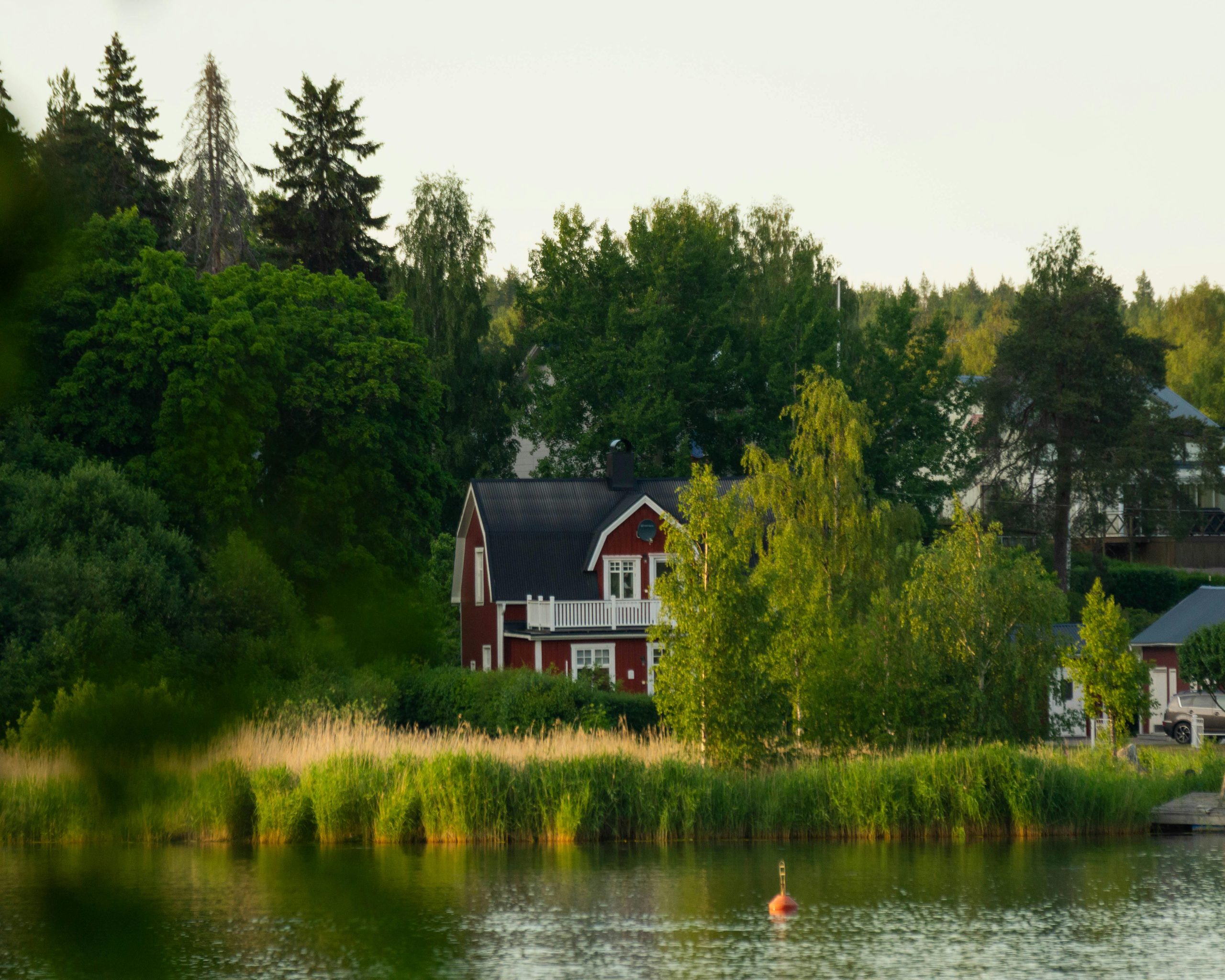 Pest free grand rapids