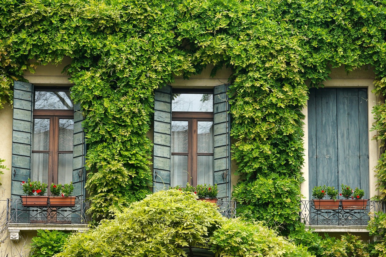 grand rapids home pest control, safe from pest insects home